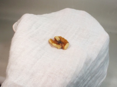 一粒の生クルミでククサを磨く